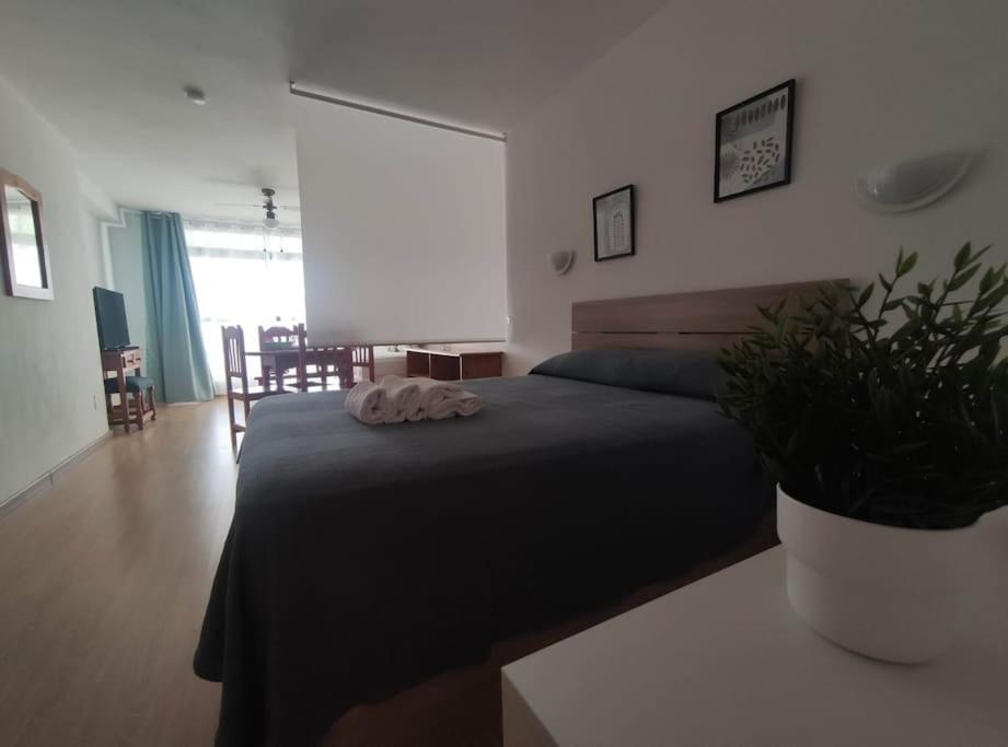 Roquetas Costa Apartment Roquetas de Mar Bagian luar foto